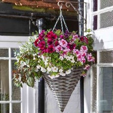 Garden Hanging Basket Cone