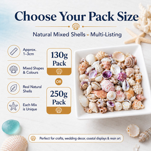 Craft shells natural beach - shells,