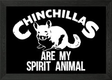 Chinchilla Spirit Animal
