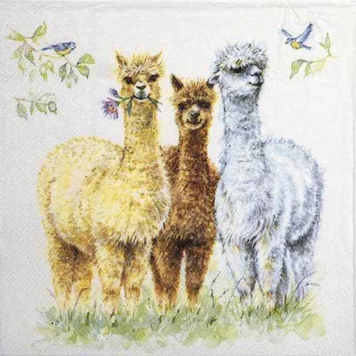 Single lunch paper - 4x,