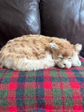 Vintage Freddy The Shipwrecked Cat Nauticalia fan pet christmas birthday gift