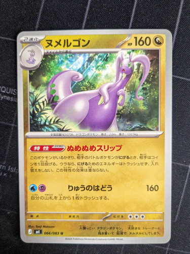 Pokemon japanese ninja - ninja, spinner