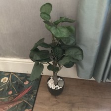 Artificial Rubber plant In Pot