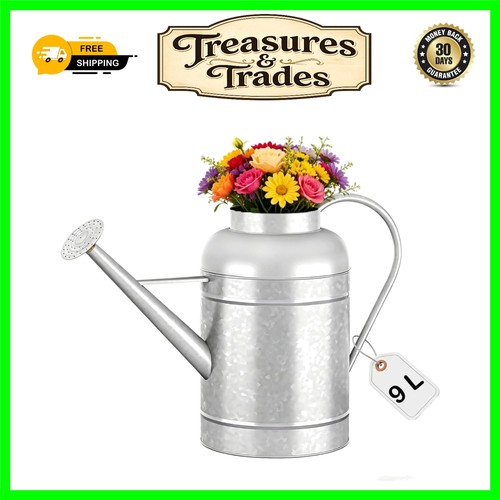 Rust resistant galvanized - 9l,