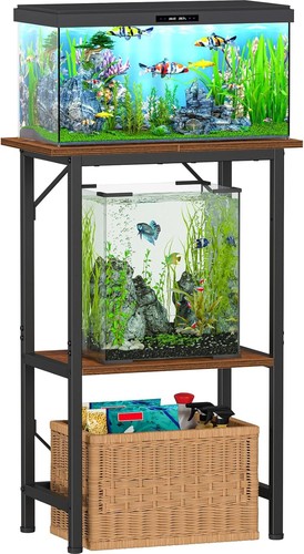 Gallon fish tank - 10,