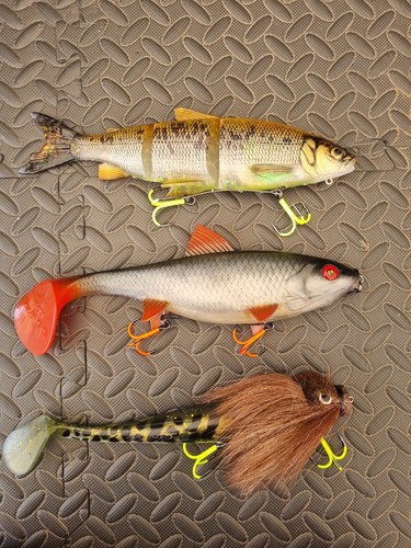 Big pike fishing lures - big,