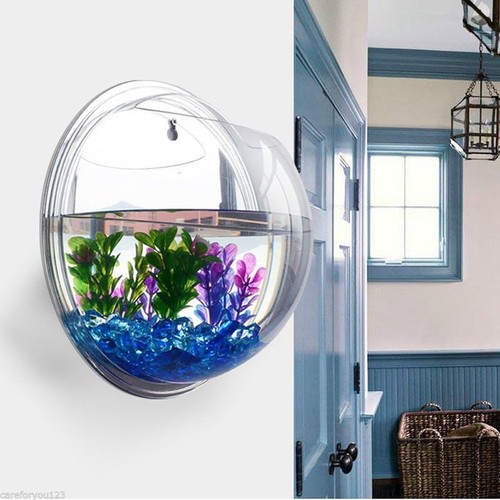 Acrylic wall mounted hanging - mounted,