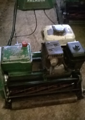Cylinder mower low cut lloyds - mower,