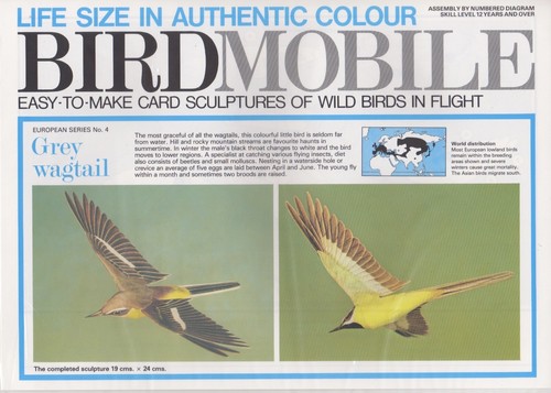 Card model kit british wild - kit,
