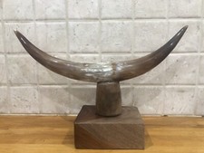 Cow Bull Horns Vintage Mounted