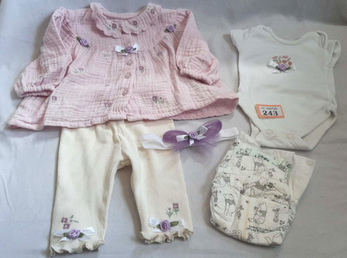 Reborn baby dolls - clothes, and