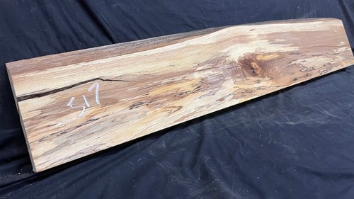 Spalted beech wood turning