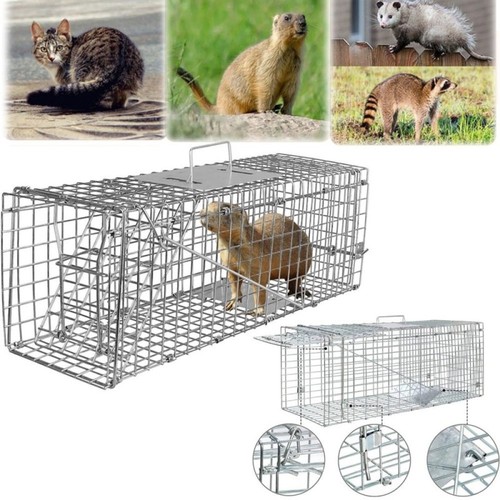Rat trap squirrel heavy duty - trap,