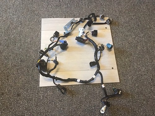 Suzuki df15 wiring loom - suzuki,