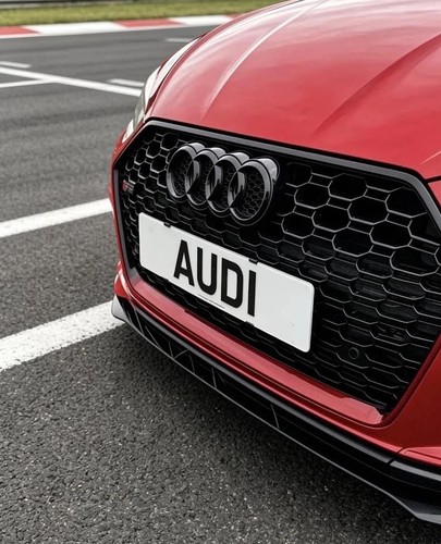 13mm audi grille number - audi,