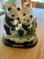 2 Pandas in the Juliana