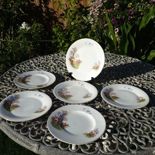 Gray english bone china - r,