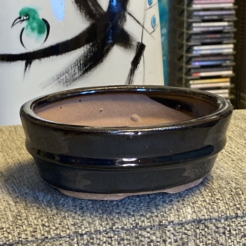 Bonsai pot pearlescent oil - pot,