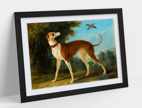 Greyhound bird jean - greyhound,