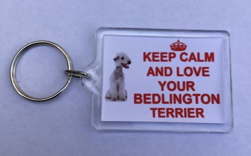 Bedlington terrier dog - bedlington,