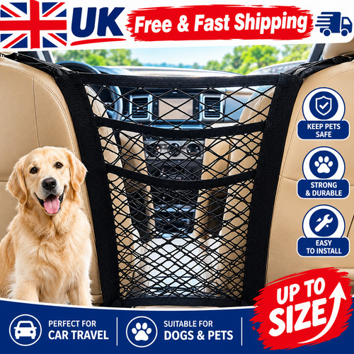 Pet dog car safety - pet,
