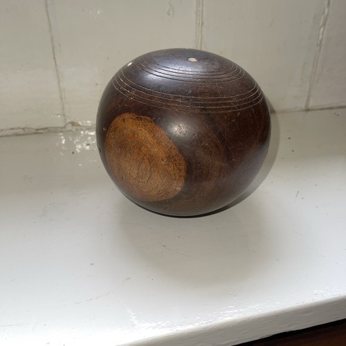 Antique lignum vitae wood - lignum,