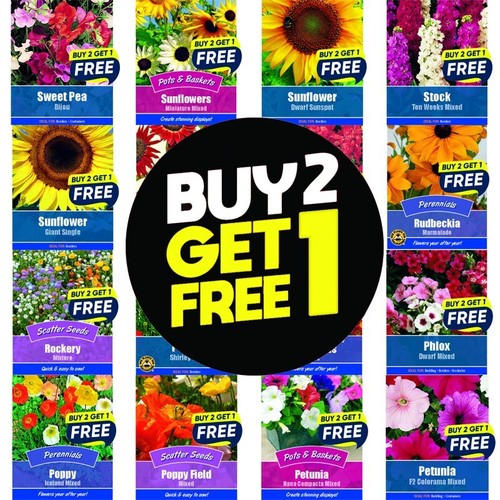 Flower seeds plants - seeds, borders