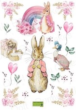 Peter Rabbit Pink Cake