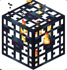 Donut Smp Skeleton Spawners