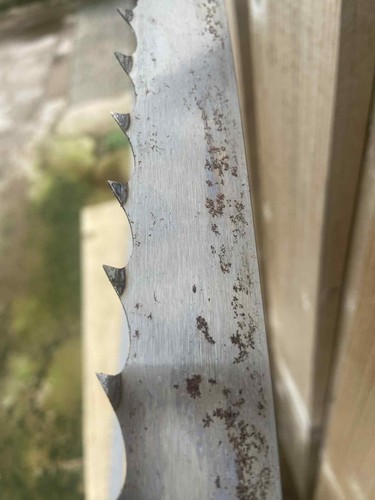 167 sabretooth blade - 167",