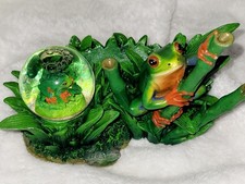 Red Eye Tree Frog With Globe