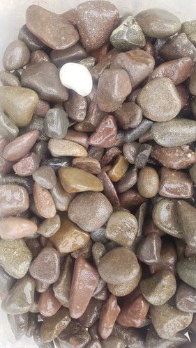 Decorative gravel scottish - -,