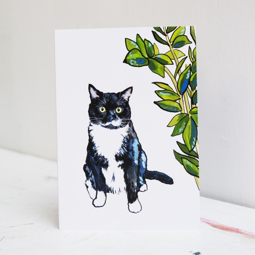 Tuxedo cat greetings - greetings, card
