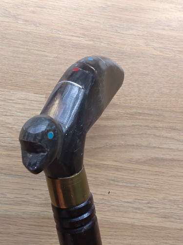 Antique bovine horn walking - bovine,
