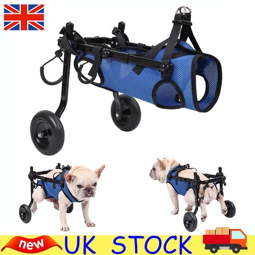 Dog wheelchair pet walk - dog,