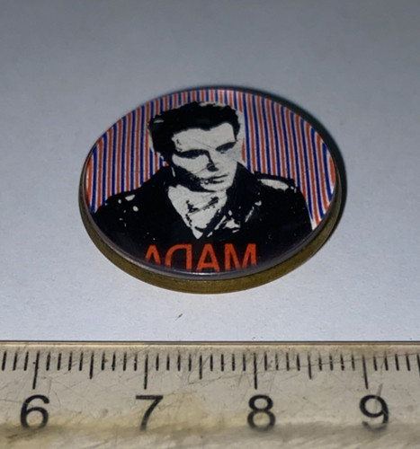 Adam and the ants - ants, ant