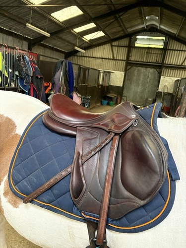 Devoucoux chiberta jump - chiberta, saddle