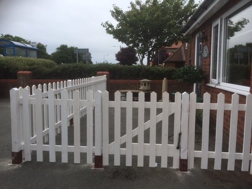 White primed pointed - primed,