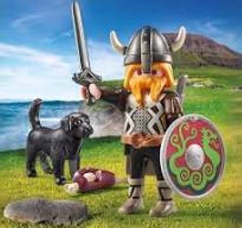 Playmobil special viking - playmobil,