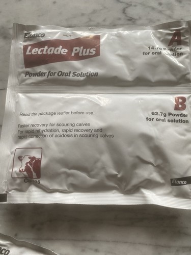 Lactase plus 12 - plus,