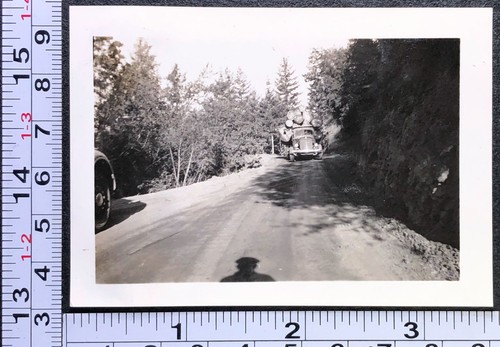 Occupational lumber logging - occupational,