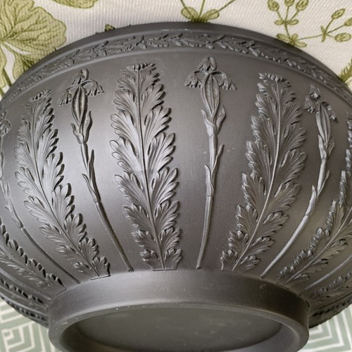 Wedgwood jasperware black - wedgwood,