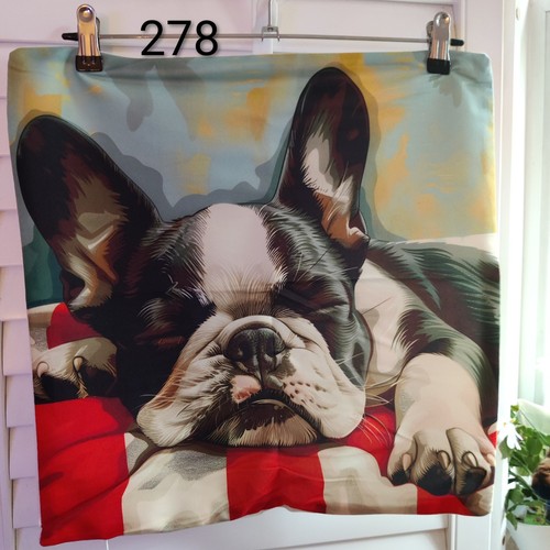 Boston terrier peachy soft
