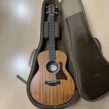 Taylor GS Mini with case