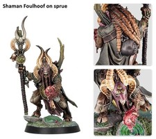 Shaman Foulhoof Warhammer