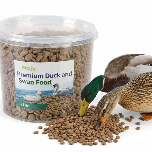 Premium swan and - premium, duck