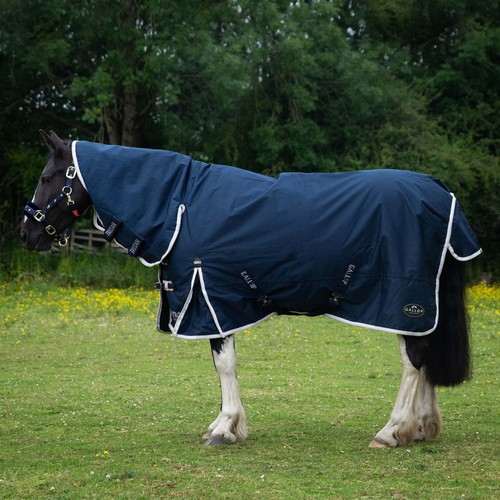 Gallop trojan ponie - /,