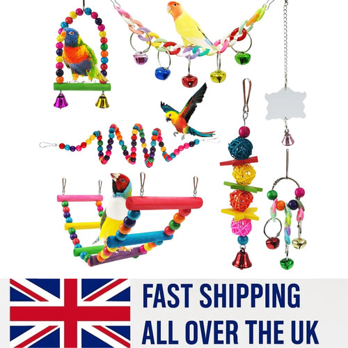 Pack parrot toys - pack,