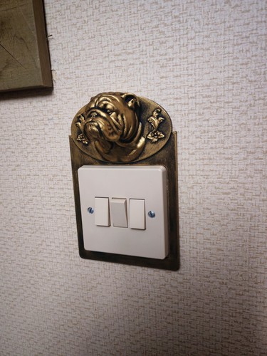 British bulldog light - bulldog, switch