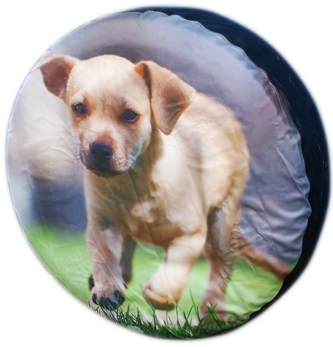 Spare tyre wheel cover - wheel,